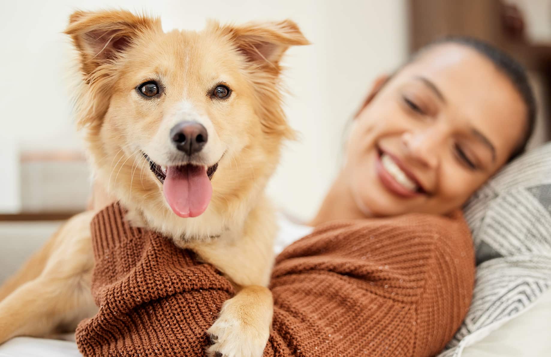 pet owner with a dog in madison al